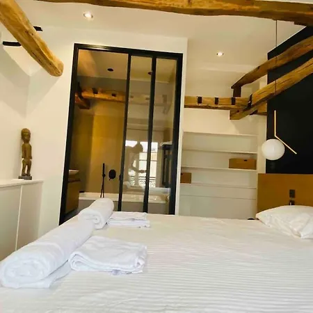 Nid Luxueux En Plein Centre De Appartamento